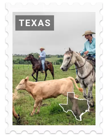 Texas